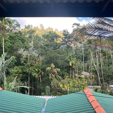 Cozy Homestay Waterfall Road Ella Exterior foto
