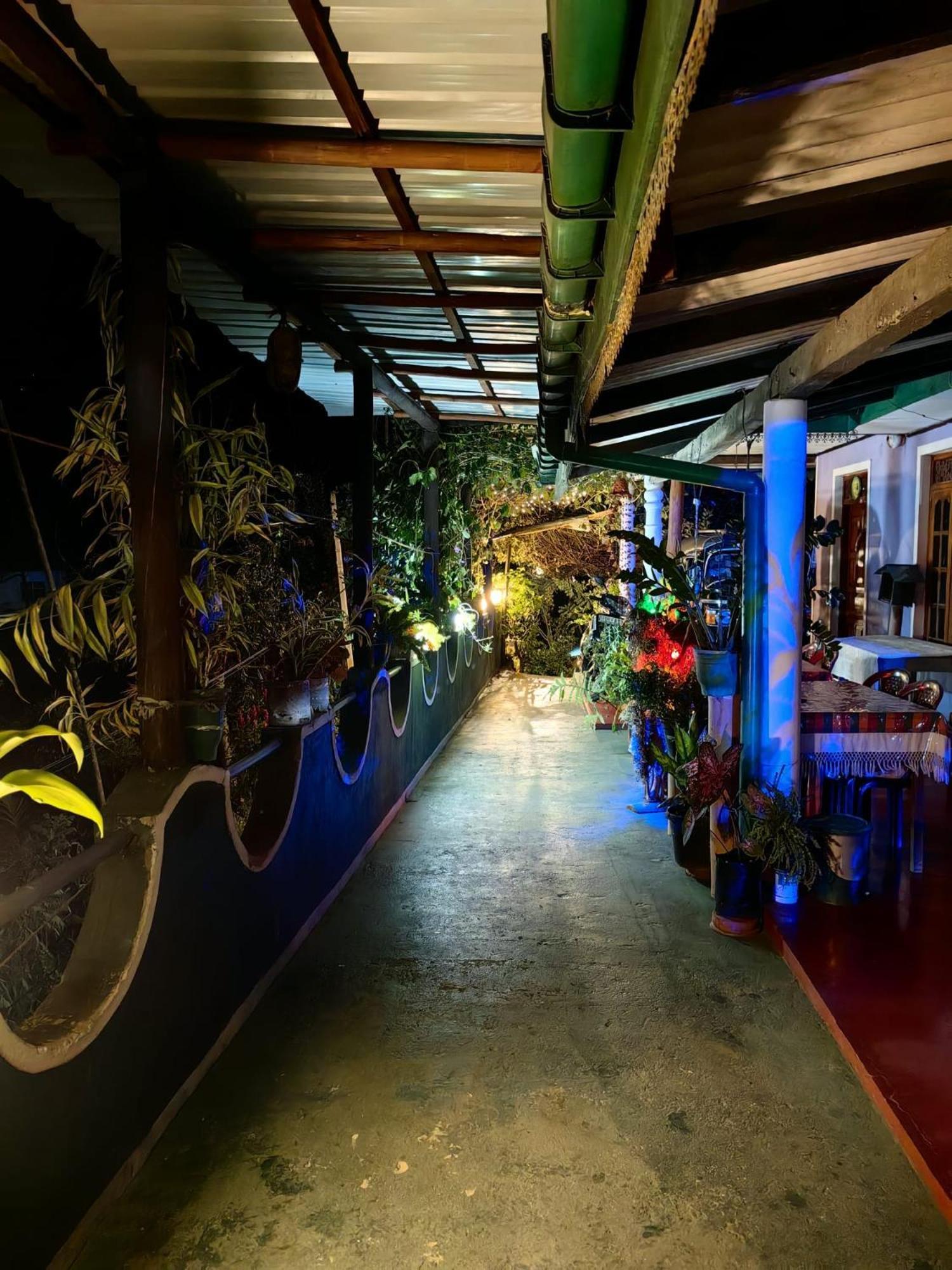 Cozy Homestay Waterfall Road Ella Exterior foto