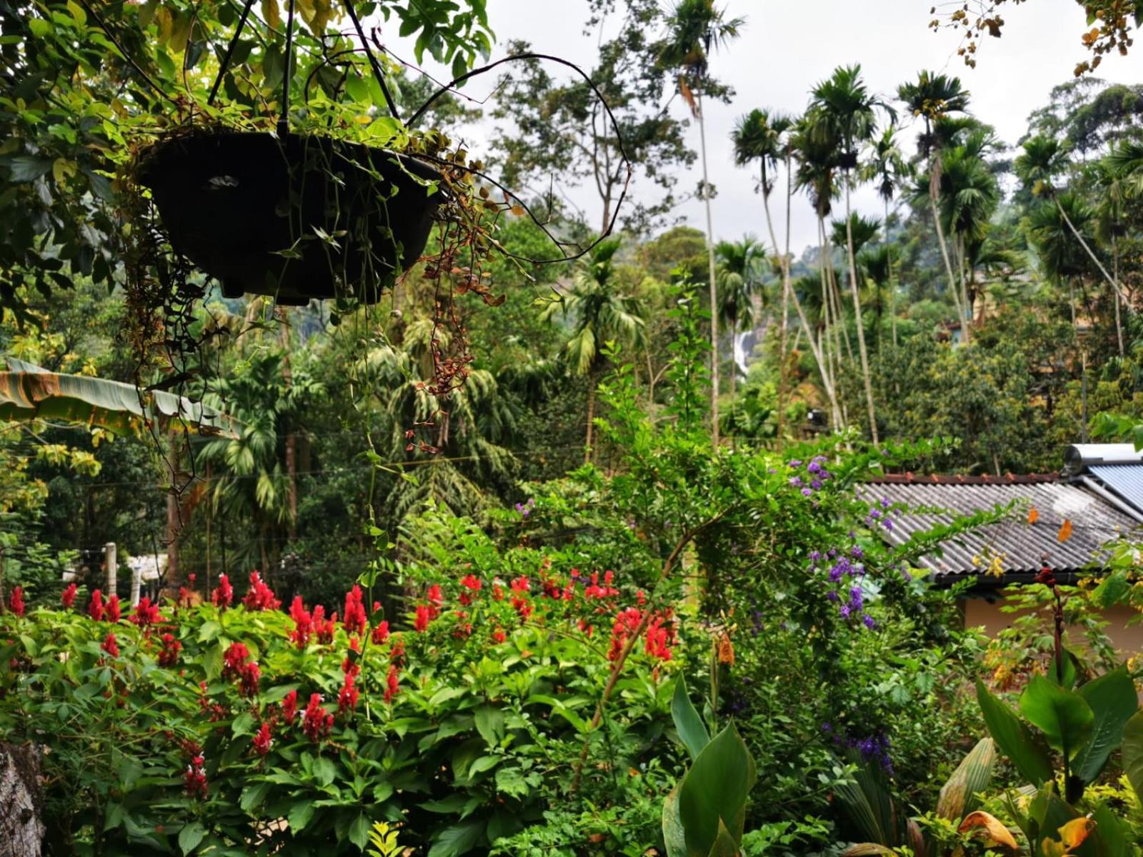 Cozy Homestay Waterfall Road Ella Exterior foto