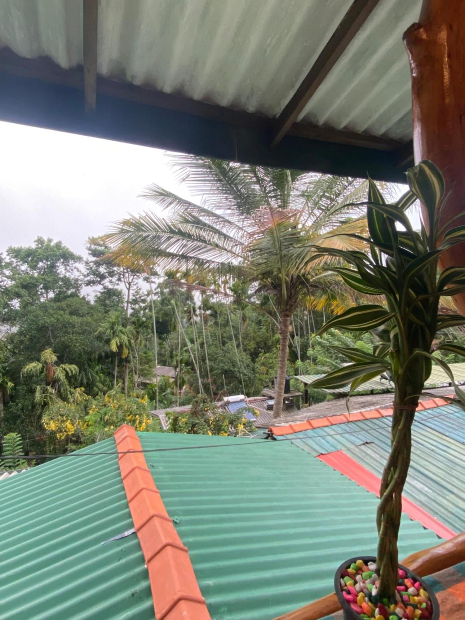 Cozy Homestay Waterfall Road Ella Exterior foto