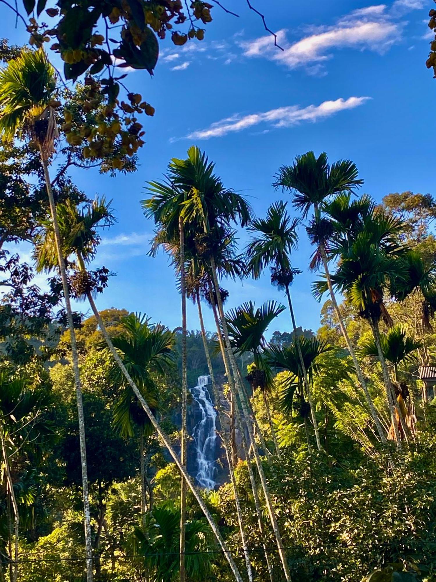 Cozy Homestay Waterfall Road Ella Exterior foto